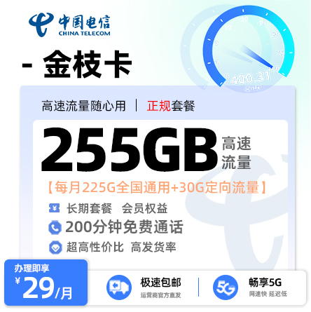 电信金枝卡【29元享255G流量+200分钟通话】